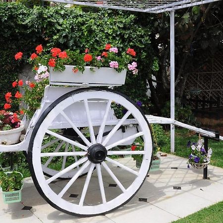 Gem Park Ooty Ξενοδοχείο Εξωτερικό φωτογραφία